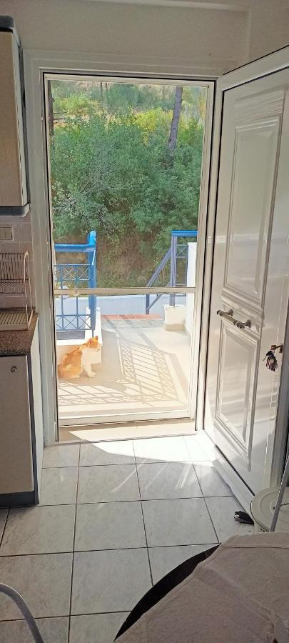 Siviri Sea & Forest-Cozy Apartment With Garden & Nature Views Luaran gambar