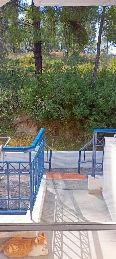 Siviri Sea & Forest-Cozy Apartment With Garden & Nature Views Luaran gambar